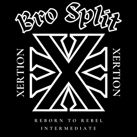 Bro Split — Intermediate